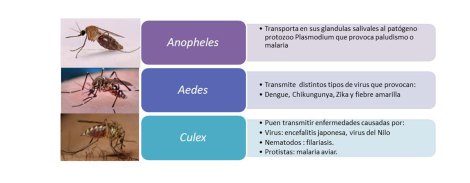 figura1