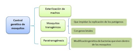 figura2