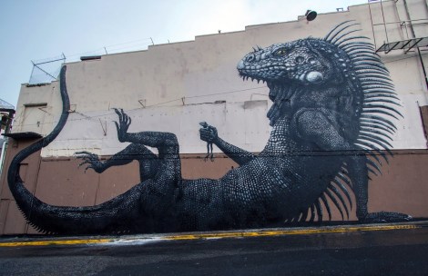 roa.jpg