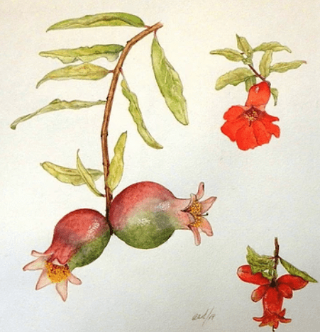 Captura de pantalla 2018-07-09 a la(s) 1.56.51 p.m.