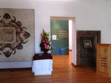 Captura de pantalla 2018-07-09 a la(s) 1.58.03 p.m.