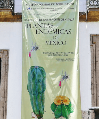 Captura de pantalla 2018-07-09 a la(s) 5.43.02 p.m.