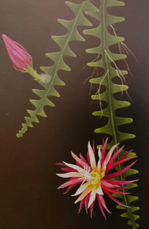 Captura de pantalla 2018-07-09 a la(s) 5.44.23 p.m.