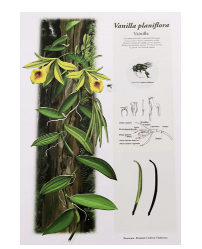 Captura de pantalla 2018-07-09 a la(s) 5.44.59 p.m.