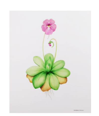 Captura de pantalla 2018-07-09 a la(s) 5.45.08 p.m.