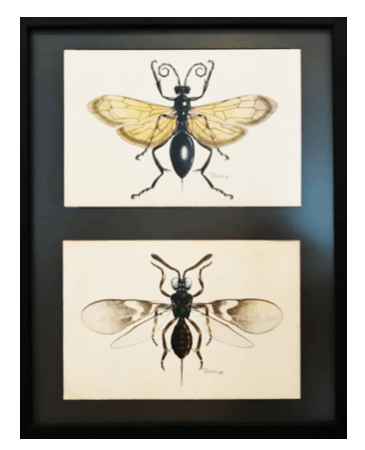 Captura de pantalla 2018-07-09 a la(s) 5.45.30 p.m.