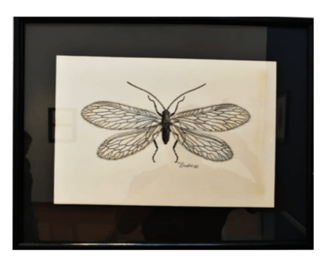 Captura de pantalla 2018-07-09 a la(s) 5.46.14 p.m.