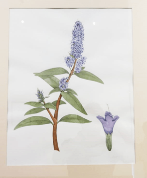 Captura de pantalla 2018-07-09 a la(s) 6.04.44 p.m.